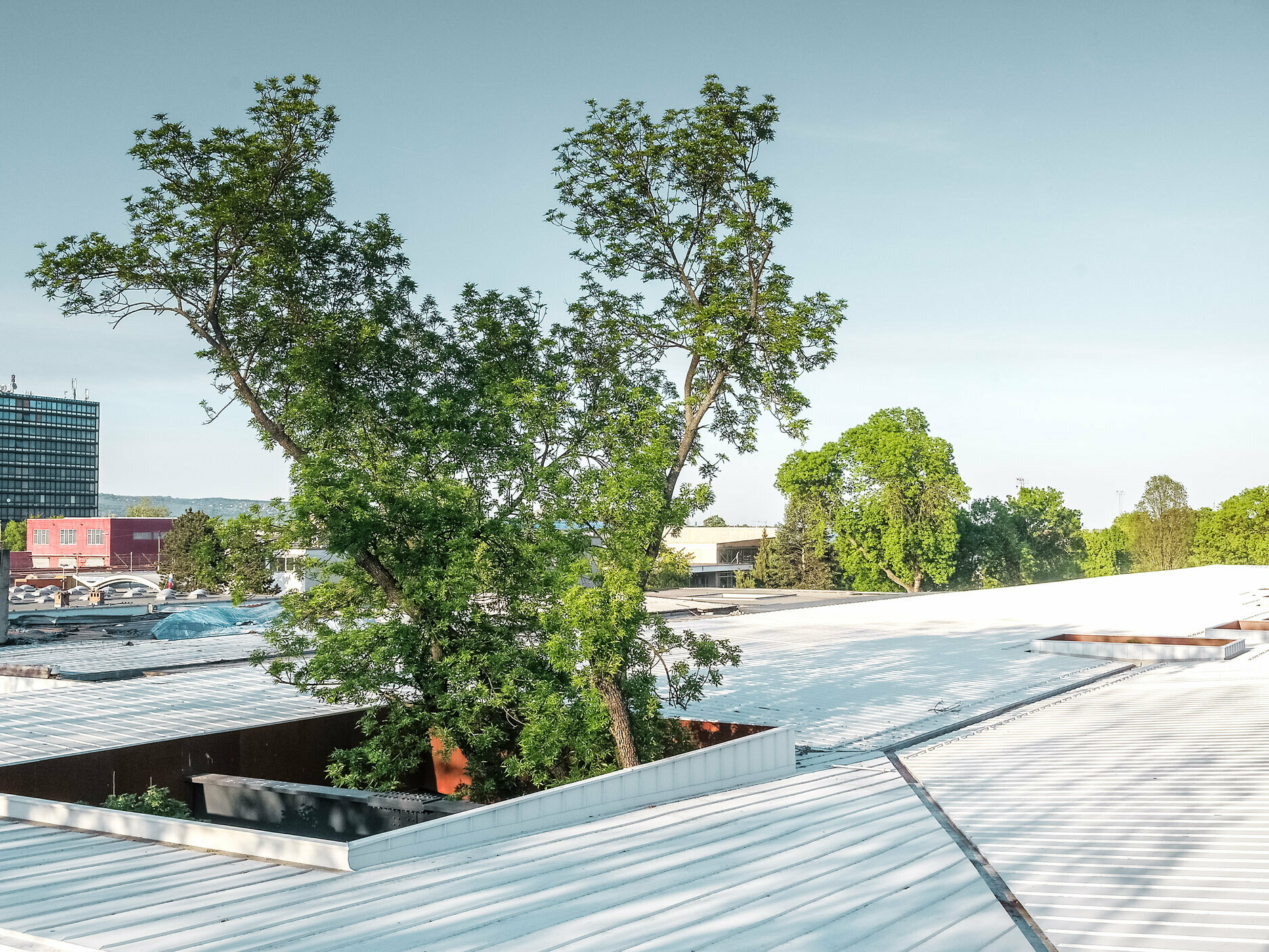 Na slici se nalazi autobusna postaja u Hrvatskoj s bijelim Prefalz krovom tvrtke PREFA. Visoka stabla prekidaju krov na više mjesta, što konstrukciji daje posebne arhitektonske karakteristike. U pozadini se mogu vidjeti druge građevine i visoka poslovna zgrada. Slika prikazuje spoj funkcionalne arhitekture i prirodnog okruženja, pri čemu bijeli krov i zelenilo drveća stvaraju upadljiv kontrast.
